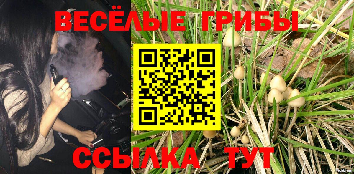 Псилоцибиновые грибы Cubensis  Вход с VPN  сколько стоит  Набережные Челны 